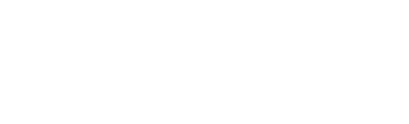 adeptaudio